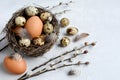 Quail and chicken eggs in the nest and willow twigs on a light background, close-up. Rustic still life for the Easter Royalty Free Stock Photo