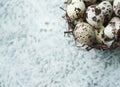 Quail colorful eggs in a nest on stone background. Royalty Free Stock Photo