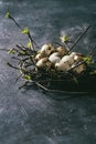 Quail Easter eggs in nest