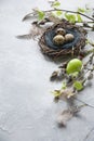 Quail easter eggs in nest and spring willow on vintage table