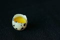 Quail egg on a black textured background. Raw broken egg with the yolk. Easter card. Royalty Free Stock Photo