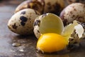 Quail egg broken on rustic table Royalty Free Stock Photo
