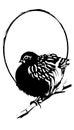 Quail with egg contour stylized as a logo. Also good for tattoo. Editable vector monochrome image with high details isolated on