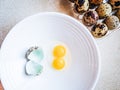 Quail egg with double yolk broken on a white plate. Royalty Free Stock Photo
