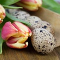 Quail egg for easter Royalty Free Stock Photo