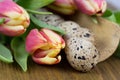 Quail egg for easter Royalty Free Stock Photo