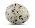 Quail Egg Isolated. Boiled or Fresh Egg Vertical on White Background Close Up