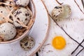 Quail egg in the straw