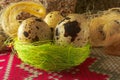 Quail egg, three in a nest of dry grass and fiber on the background