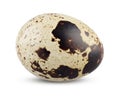 Quail Egg on White Background. Boiled or Fresh Egg Horizontal Close Up Isolated Royalty Free Stock Photo