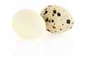 Quail eggs Royalty Free Stock Photo