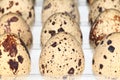 Quail Eggs Royalty Free Stock Photo