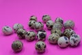 Quail eggs background heap many pattern pile small,