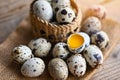 quail eggs on basket, fresh quail eggs on wooden table background, raw eggs with peel egg shell Royalty Free Stock Photo