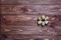 Quail eggs behind a wooden board.