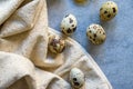 Quail eggs with beige cloth on blue background Royalty Free Stock Photo