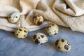 Quail eggs with beige cloth on blue background Royalty Free Stock Photo