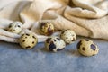 Quail eggs with beige cloth on blue background Royalty Free Stock Photo