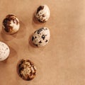 Quail eggs bird diet food kitchen craft background macro photo