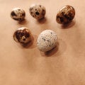 Quail eggs bird diet food kitchen craft background macro photo