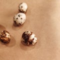 Quail eggs bird diet food kitchen craft background macro photo