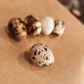 Quail eggs bird diet food kitchen craft background macro photo