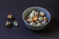 Quail eggs on a black background. Royalty Free Stock Photo