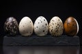 5 quail eggs in on a black background ai created Royalty Free Stock Photo