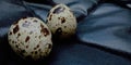Quail eggs with Black background Royalty Free Stock Photo