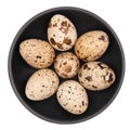 Quail eggs in a black plate isolated on white background. Royalty Free Stock Photo