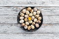 Quail eggs in a black plate. On the old background. Royalty Free Stock Photo