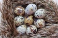 Quail eggs in a black plate. On the old background. Top view. Free copy space Royalty Free Stock Photo