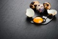 Quail eggs on black stone background, broken, cracked quail egg, yolk of quail egg. Royalty Free Stock Photo