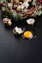 Quail eggs on black stone background, broken, cracked quail egg, yolk of quail egg. Royalty Free Stock Photo