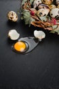 Quail eggs on black stone background, broken, cracked quail egg, yolk of quail egg. Royalty Free Stock Photo