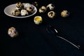 Quail eggs on a black textured background. Raw broken egg with the yolk. Easter card. Side view. Royalty Free Stock Photo