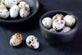 Quail eggs Royalty Free Stock Photo