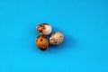 3 quail eggs on a blue background. View from above. Close-up. Beautiful, small speckled eggs Royalty Free Stock Photo