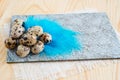 Quail eggs on blue feathers .Easter Background Royalty Free Stock Photo