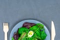 Quail eggs boiled on a lettuce leaf with microgreen sprouts with a wooden fork and spoon on a gray background. The Royalty Free Stock Photo