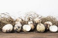 Quail eggs border background. Royalty Free Stock Photo