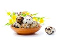 Quail eggs in bowl