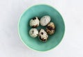 Quail eggs in a bowls Royalty Free Stock Photo