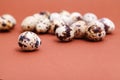 Quail eggs on a brown background, selective focus, copy space. Healthy food, nature concept. Festive Easter background