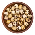 Quail eggs in a brown plate isolated on white background. Royalty Free Stock Photo