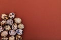 Quail eggs on a brown solid background, top view, copy space. Healthy food, Holidays, nature concept. Easter Background