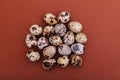 Quail eggs on a brown solid background, top view, copy space. Healthy food, Holidays, nature concept. Easter Background