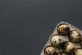 Quail eggs in cardboard egg tray Royalty Free Stock Photo
