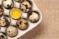 Quail eggs in cardboard packaging close-up, copy space, flatlay Royalty Free Stock Photo