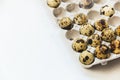 Quail eggs in cardboard packaging on white background. Top view Royalty Free Stock Photo